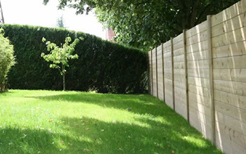 Palissade bois à lames encastrées et réalisation d'une pelouse - Wambrechies