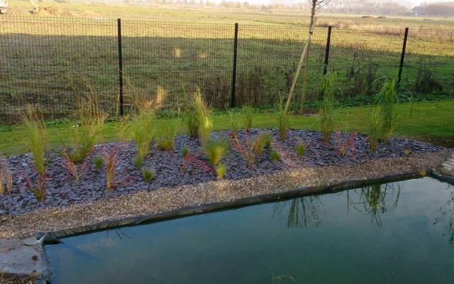 Bassin aménagé- Villeneuve d'Ascq / Haute-Borne