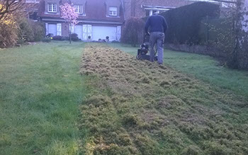 Scarification de gazon