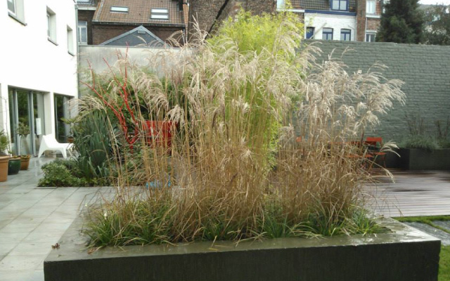 Plantation et aménagement de jardin