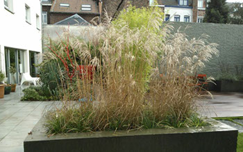 Plantation et aménagement de jardin