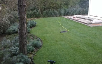 Plantation et aménagement de jardin