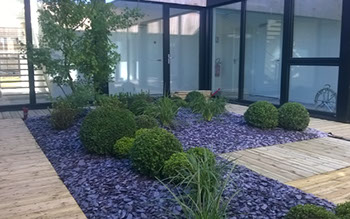 Terrasse en Pin et aménagement d'un patio- Villeneuve d'Ascq / Haute-Borne